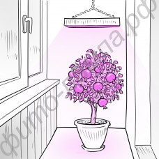 Обычная светодиодная лампа для растений "Сириус"