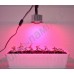 Полноспектровый 10Вт фитосветодиод на радиаторе LED grow light "Мерак"